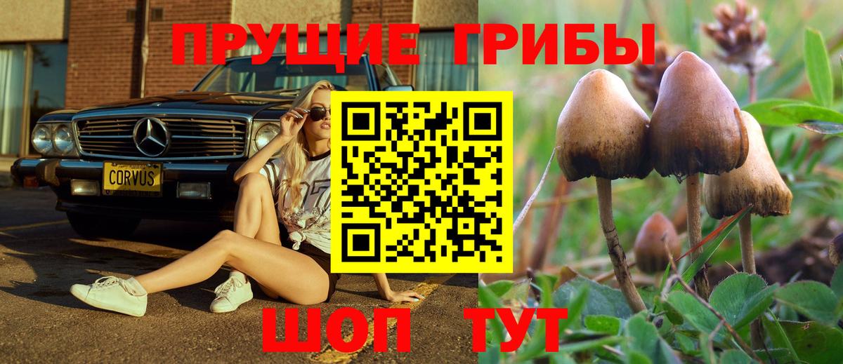 Галлюциногенные грибы прущие грибы  наркота  Вологда  Вход с VPN 